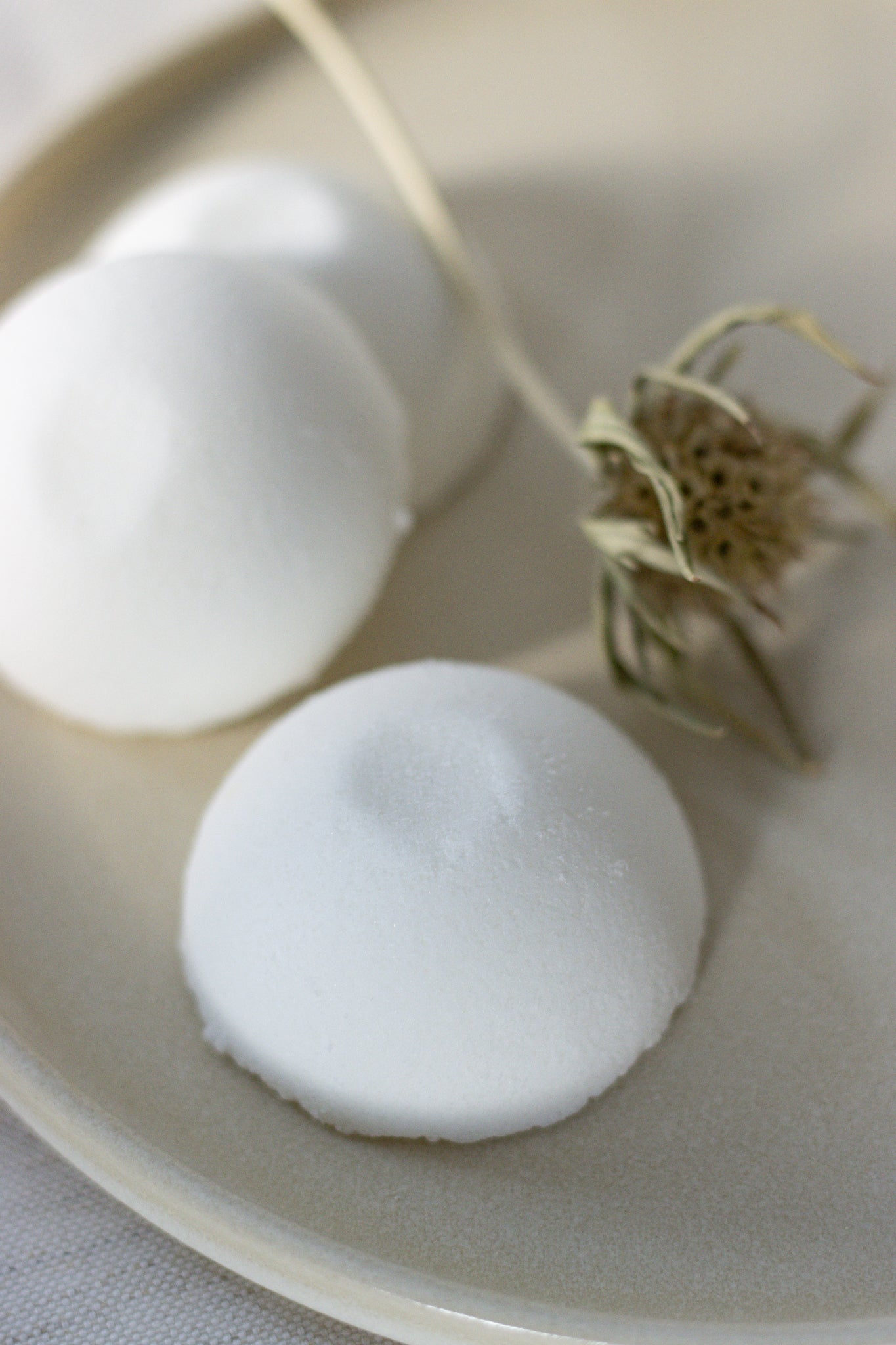 BREATHE SHOWER STEAMERS